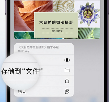 三乡镇apple维修中心分享iPhone文件应用中存储和找到下载文件