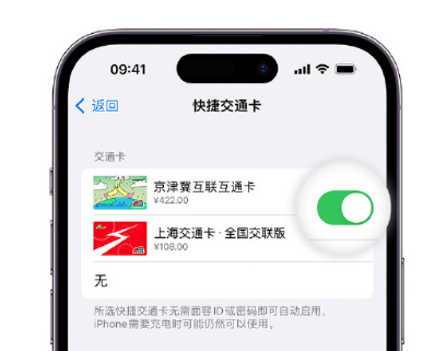 三乡镇apple维修点分享iPhone上更换Apple Pay快捷交通卡手绘卡面 