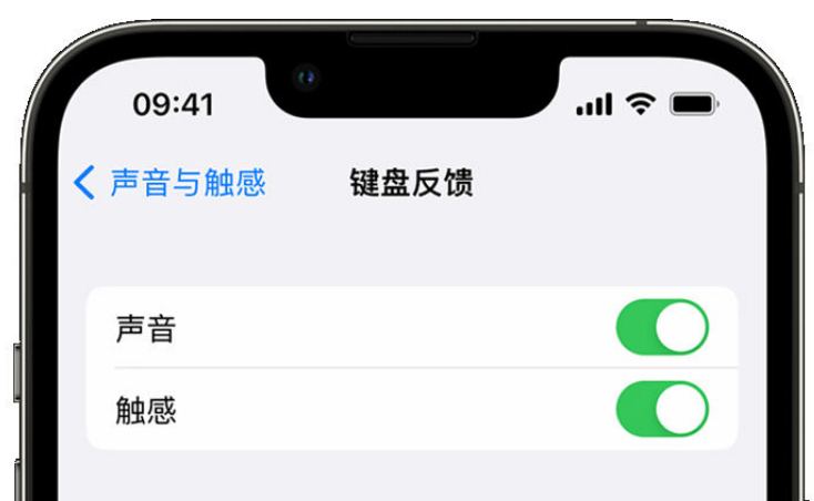 三乡镇苹果手机维修分享iPhone 14触感键盘使用方法 