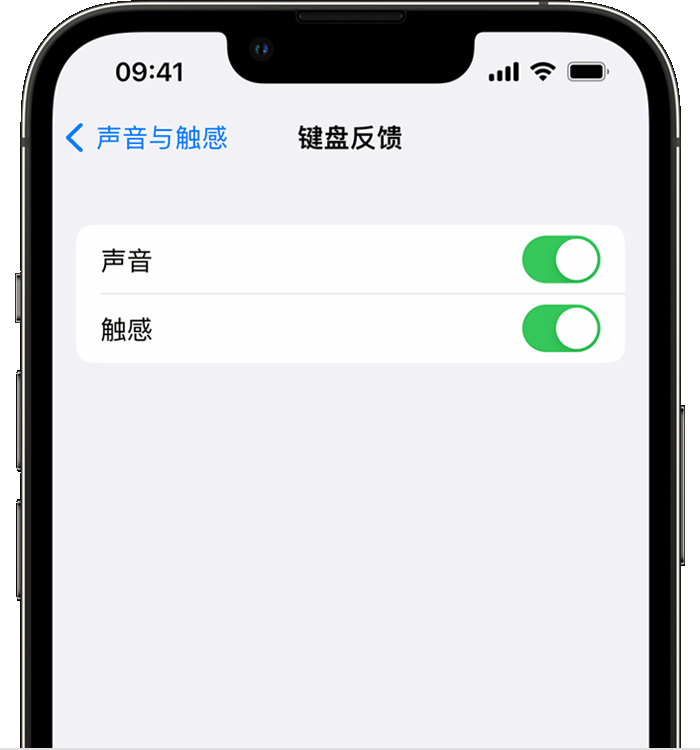 三乡镇苹果14维修店分享如何在 iPhone 14 机型中使用触感键盘 