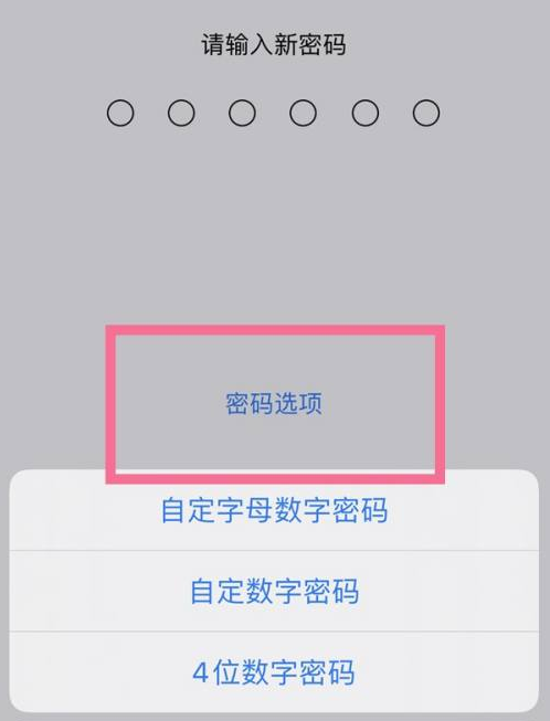 三乡镇苹果14维修分享iPhone 14plus设置密码的方法 